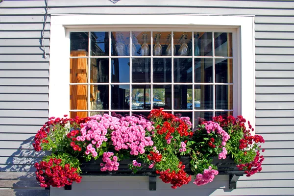 Woods Hole, Massachusetts