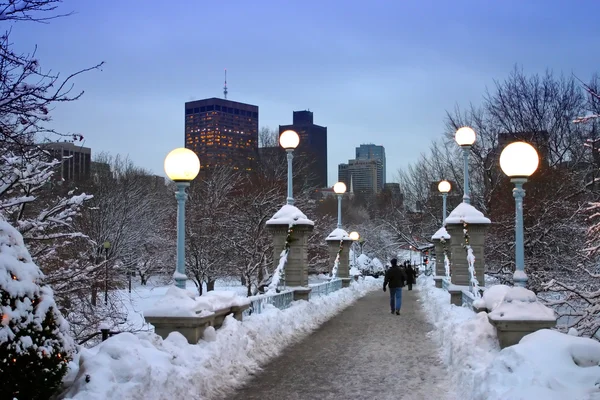 Boston, Massachusetts, ABD 'de kar yağışının stok görüntüsü