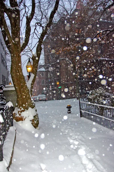 Stock bild av en snöande vinter vid Boston, massachusetts, usa — Stockfoto