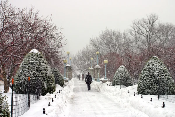 Imagem de estoque de um inverno nevando em Boston, Massachusetts, EUA — Fotografia de Stock