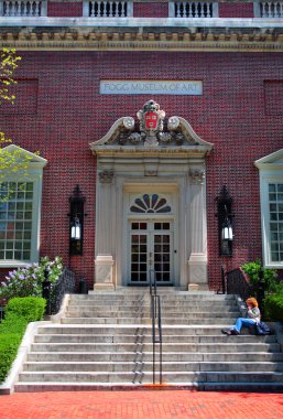 Harvard Square, Cambridge