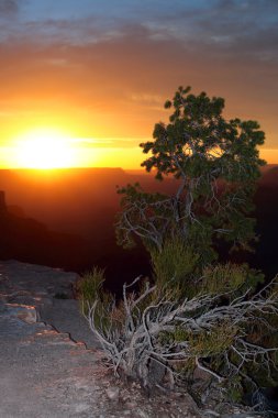 Grand Canyon Ulusal Parkı, ABD