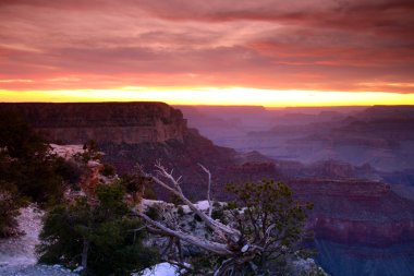 Grand Canyon Ulusal Parkı, ABD
