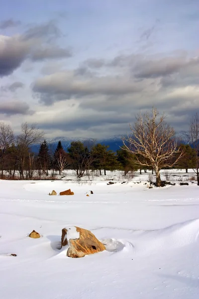 Bretton Woods, New Hampshire — Stock Photo, Image