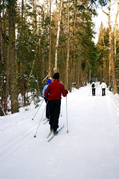 Bretton Woods, New Hampshire. — Fotografia de Stock