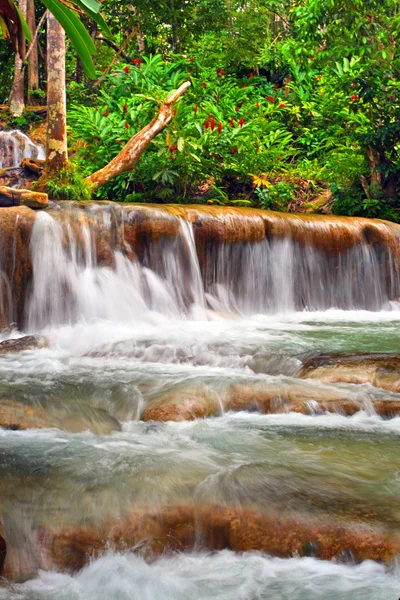 Dunn 's river falls, ocho rios, jamaica — Stockfoto