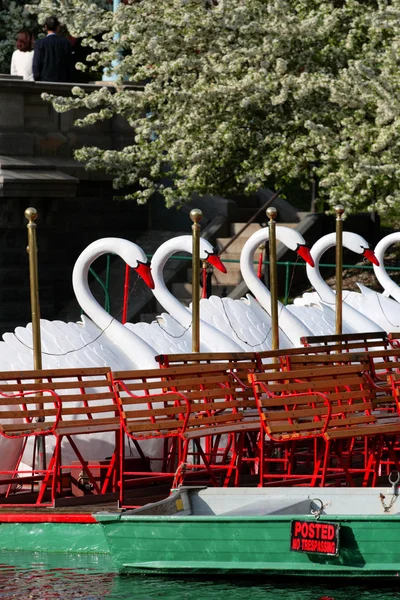 Boston Common and Public Garden, Estados Unidos — Foto de Stock