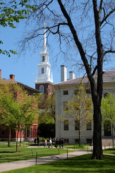 Harvard Square, Cambridge