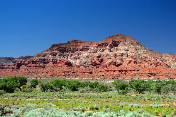 Εθνικό πάρκο Zion, ΗΠΑ — Φωτογραφία Αρχείου