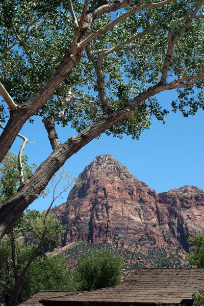 Zion National Park, EUA — Fotografia de Stock