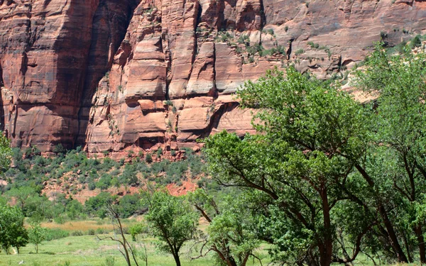 Zion National Park, EUA — Fotografia de Stock