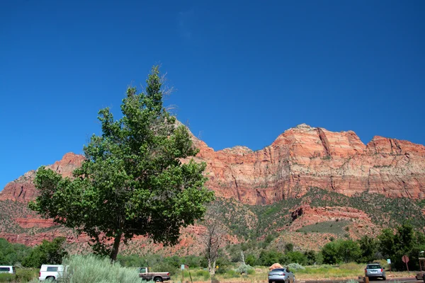 Zion nationalpark, usa — Stockfoto