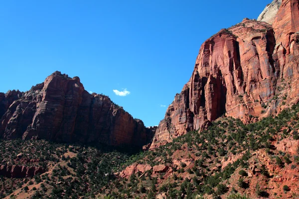 Parque Nacional de Zion, EE.UU. — Foto de Stock