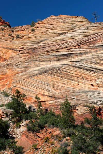 Zion Nationaalpark, Verenigde Staten — Stockfoto