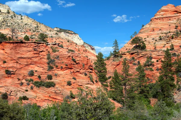 Parque Nacional de Zion, EE.UU. — Foto de Stock