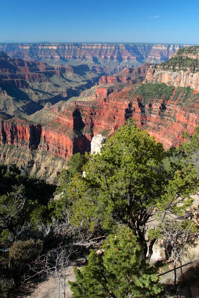 Parque Nacional del Gran Cañón, Estados Unidos — Foto de Stock