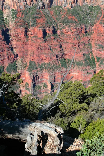 Parque Nacional del Gran Cañón, Estados Unidos — Foto de Stock