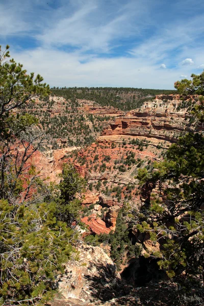 Grand Canyon National Park, Verenigde Staten — Stockfoto