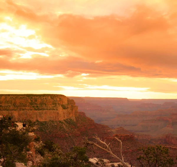 Parc national du Grand Canyon, États-Unis — Photo