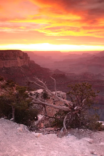 Grand Canyon Ulusal Parkı, ABD — Stok fotoğraf