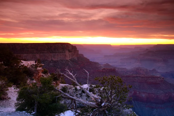 Grand Canyon National Park, USA — Stock Photo, Image