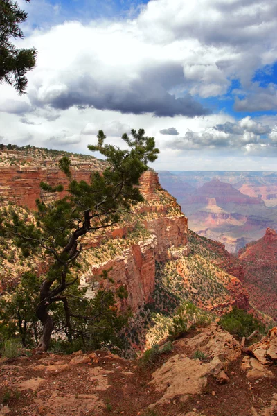 Parque Nacional del Gran Cañón, Estados Unidos — Foto de Stock