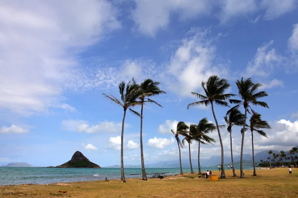 O'ahu, Hawaii — Stock Photo, Image