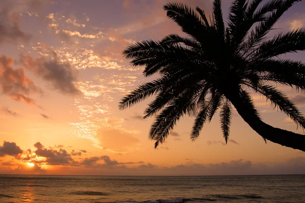 Sunset Beach, Oahu, Hawaii — Foto Stock