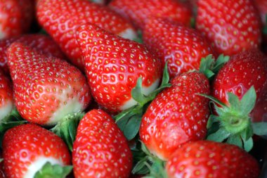 Çilek Cameron Highland, Malezya hisse senedi görüntü