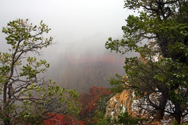 Grand Canyon National Park, Verenigde Staten — Stockfoto