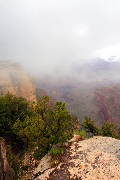 Parque Nacional del Gran Cañón, Estados Unidos — Foto de Stock