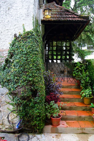 A traditional English cottage — Stock Photo, Image