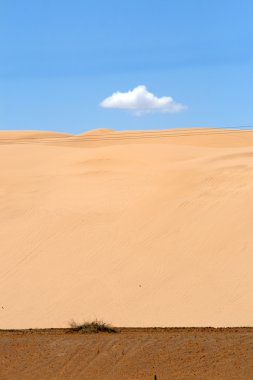 Lombard Street, San Francisco