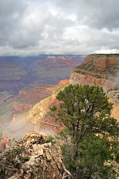 Parque Nacional del Gran Cañón, Estados Unidos — Foto de Stock