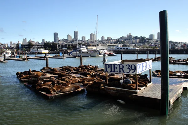 San Francisco，美国 — 图库照片