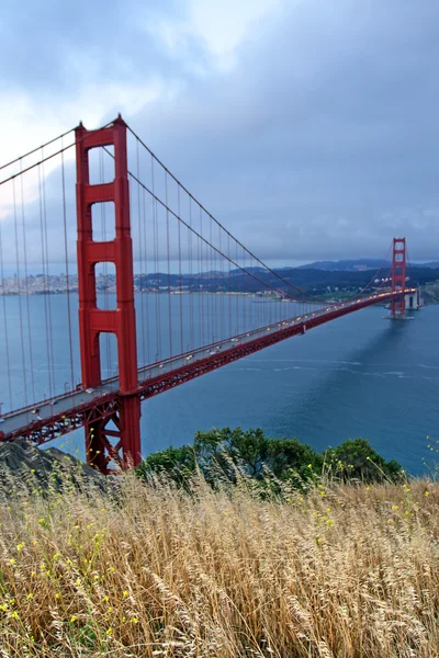 Most Golden Gate, San Francisco — Zdjęcie stockowe