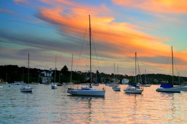 Watsonlar Bay, Nsw, Avustralya