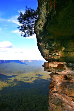 Blue Mountain, Nsw, Avustralya