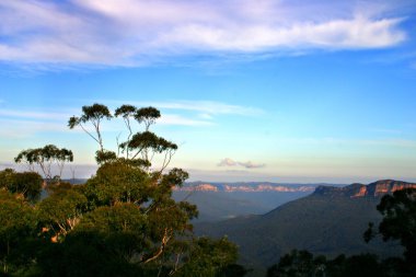 Blue Mountain, Nsw, Avustralya