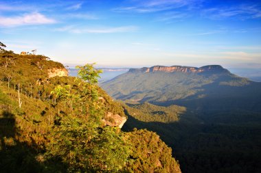 Blue Mountain, Nsw, Avustralya