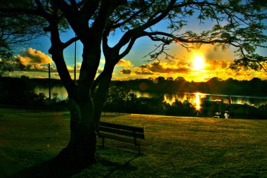 Sunshine Coast, Avustralya