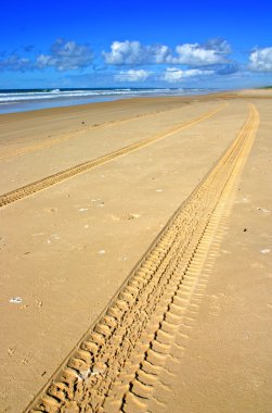 Fraser Island, Avustralya