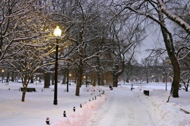 Boston, Massachusetts, ABD 'de kar yağışının stok görüntüsü