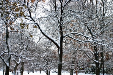 Boston, Massachusetts, ABD 'de kar yağışının stok görüntüsü