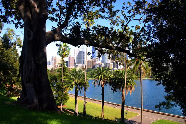 Foto stock do horizonte de Sydney em Cicular Quay, Sydney — Fotografia de Stock