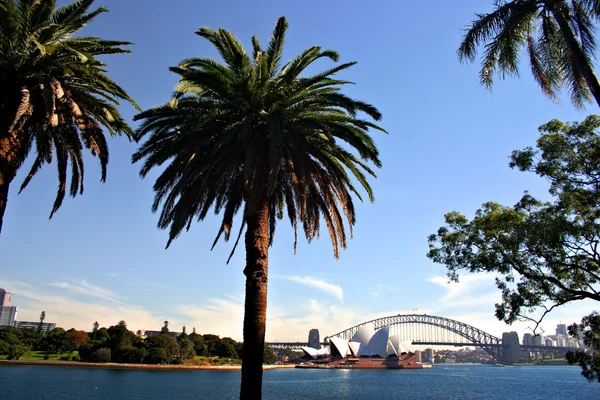 Stock photo of Sydney's skyline at Cicular Quay, Sydney — Stock Photo, Image