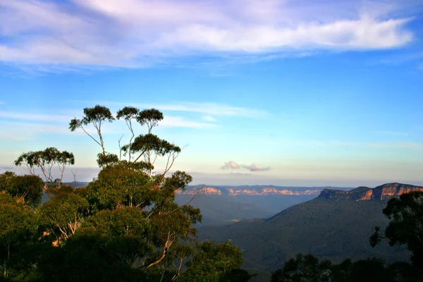 Blue Mountain, Nsw, Australien — Stockfoto