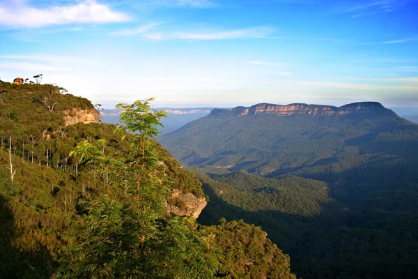 Blue Mountain, NSW, Austrália — Fotografia de Stock