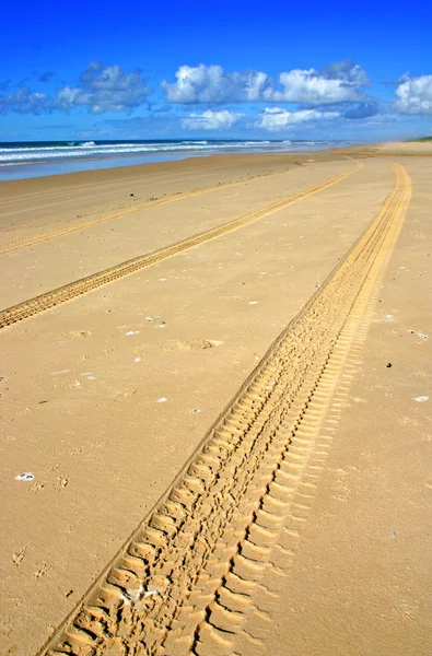 Fraser Island, Austrália — Fotografia de Stock