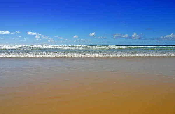 Isla Fraser, Australia —  Fotos de Stock